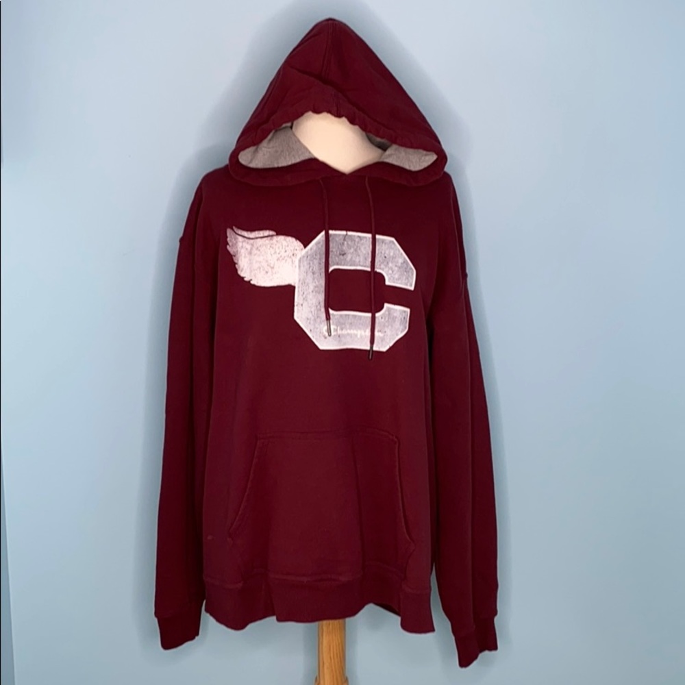 Champion Maroon School Theme Pullover Hoodie Q2 - image 1